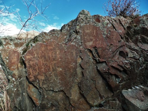 Petroglyphs etched into a large rock surface, surrounded by sparse vegetation and a clear blue sky.