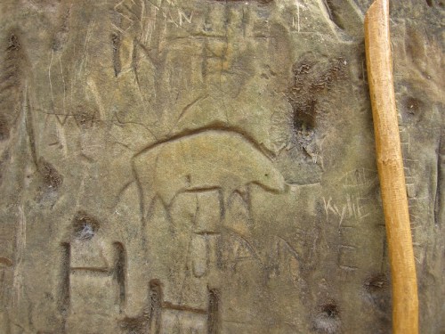 Petroglyph of a bear carved into a stone surface, surrounded by other markings and a stick leaning against the rock.