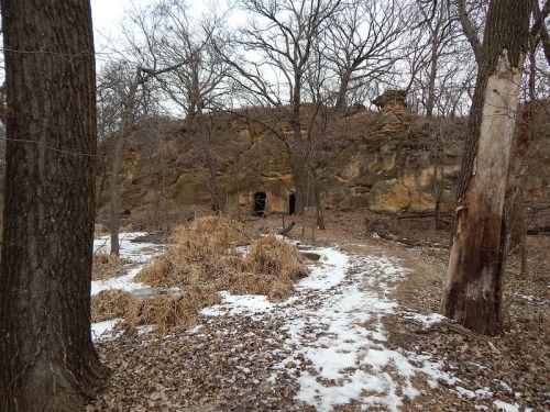 A rocky hillside with bare trees, patches of snow, and dry grass in a wooded area during winter.