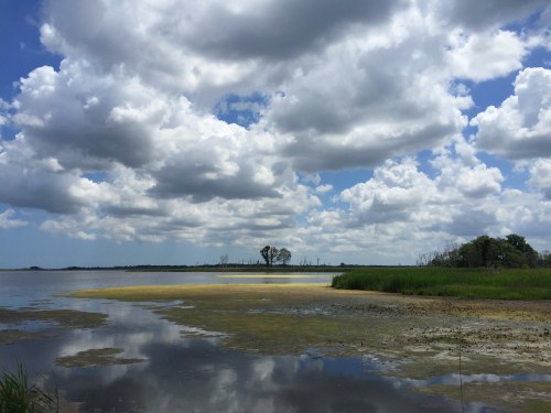 A serene landscape featuring a calm lake, sandy shore, lush greenery, and a sky filled with fluffy clouds.