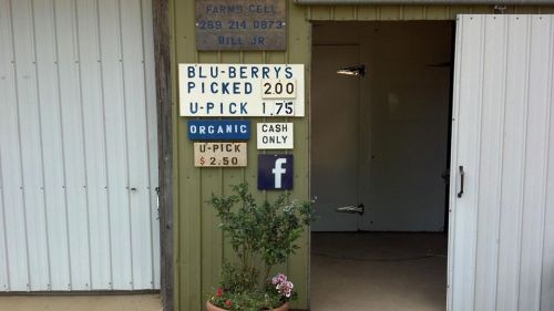 Sign outside a farm entrance advertising blueberry prices: picked $2.00, U-pick $1.75, organic $2.50, cash only.