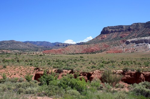 A vast desert landscape with red rock formations, green shrubs, and a clear blue sky in the background.