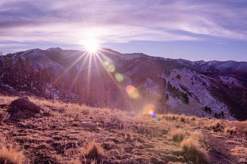 Sunrise over a mountainous landscape, with rays of light shining through the trees and a grassy foreground.