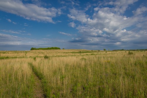 A wide, open field with tall grass under a blue sky filled with clouds, leading to a distant tree line.