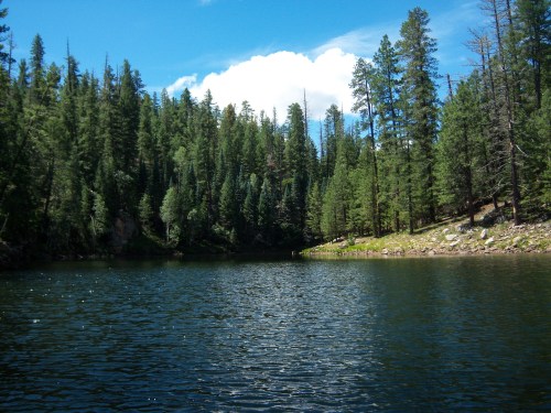 A serene lake surrounded by lush green trees under a bright blue sky with fluffy clouds.