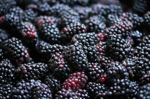 A close-up of a pile of ripe blackberries, showcasing their dark purple and red hues.