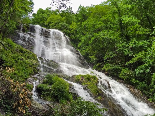 A cascading waterfall surrounded by lush green trees and foliage in a serene natural setting.