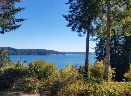 A serene view of a blue lake surrounded by lush green trees under a clear blue sky.