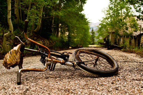 A rusty bicycle lies on a gravel path, surrounded by trees and abandoned buildings in a quiet, overgrown area.