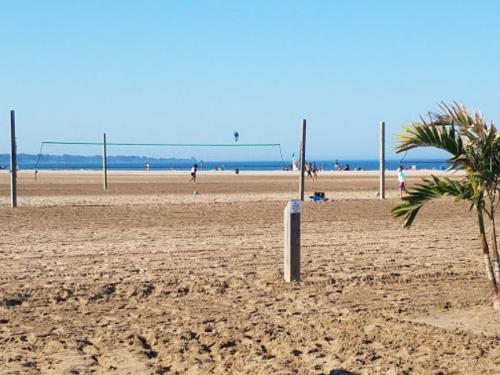 A sandy beach with volleyball nets, people playing, and a clear blue sky in the background.