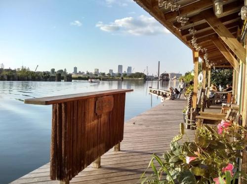 A serene lakeside view with a wooden deck, plants, and city skyline in the background under a clear blue sky.