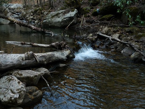 A serene stream flows over rocks and fallen logs in a wooded area, surrounded by lush greenery.