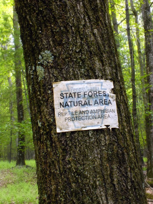 A weathered sign on a tree in a forest, indicating a state natural area for reptile and amphibian protection.