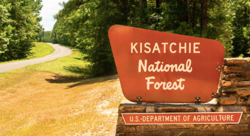 Sign for Kisatchie National Forest with a scenic road and trees in the background. U.S. Department of Agriculture.