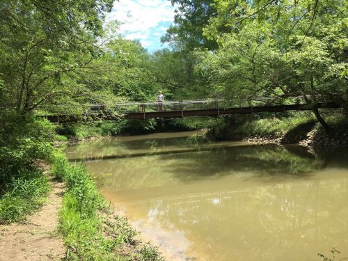 A serene river scene with a wooden bridge and lush greenery on either side under a blue sky.