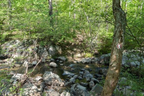 A serene forest scene featuring a small stream flowing over rocks, surrounded by lush green trees and a trail marker.