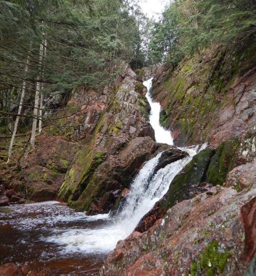 A cascading waterfall flows over moss-covered rocks, surrounded by lush green trees in a serene forest setting.