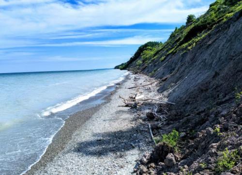 A serene beach scene with a rocky shoreline, gentle waves, and lush greenery under a blue sky.