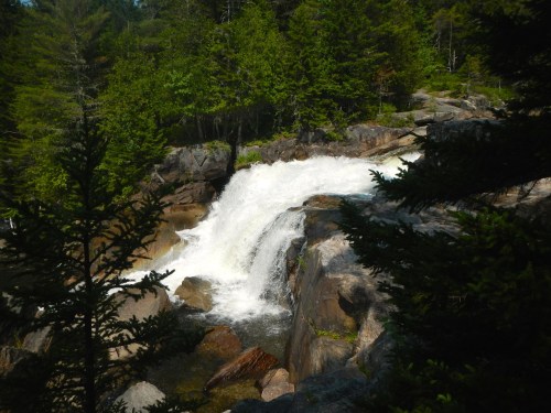 A cascading waterfall flows over rocky terrain, surrounded by lush green trees and foliage.