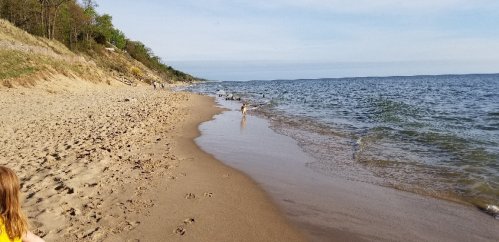 A sandy beach with gentle waves, footprints in the sand, and a dog running along the shoreline under a clear sky.