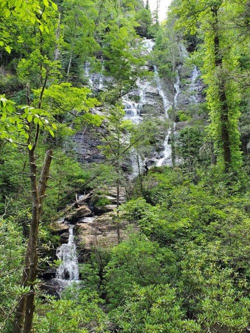 A lush green forest with a cascading waterfall flowing down rocky terrain.