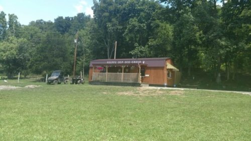 A small wooden ice cream shop with a sign, surrounded by greenery and a few parked vehicles.