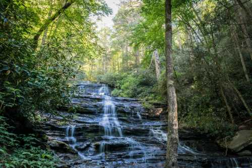 A serene waterfall cascades down rocky steps, surrounded by lush green trees and foliage in a tranquil forest setting.