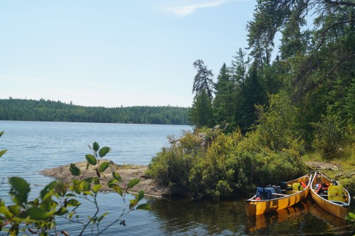 Two yellow canoes are moored by a rocky shore, surrounded by lush green trees and a calm lake under a clear blue sky.