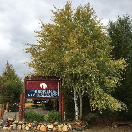 Sign for Redfish Riverside Inn with a large tree and a cloudy sky in the background. Stones line the entrance.