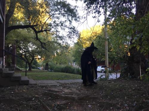 A figure in a witch costume walks through a wooded area, surrounded by trees and autumn foliage.