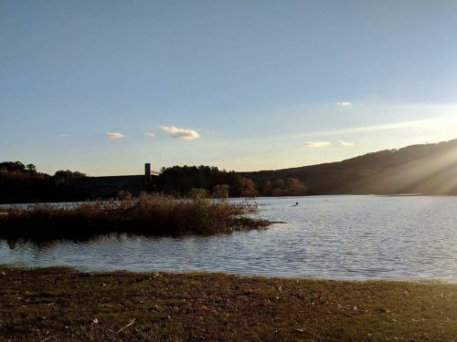 A serene lake scene with gentle waves, a distant dam, and autumn foliage under a clear blue sky.