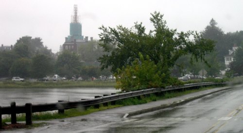 A rainy scene by a river, featuring a tree, a road, and buildings in the background, with a green water tower visible.