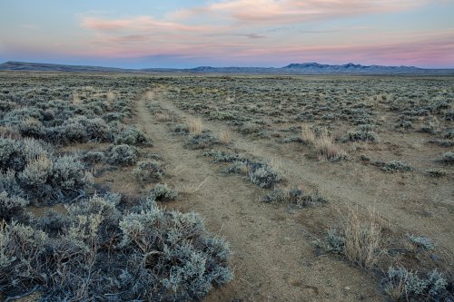 A dirt path winds through a sparse, sagebrush-covered landscape under a pastel sky at dusk.