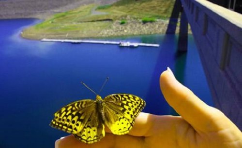 A vibrant yellow butterfly perched on a hand, with a scenic blue lake and bridge in the background.