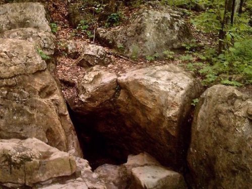 A rocky crevice in a forested area, surrounded by greenery and large boulders.