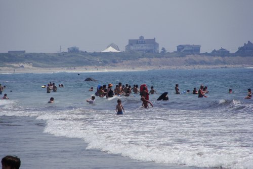 A crowded beach scene with people swimming and playing in the waves, with houses visible in the background.