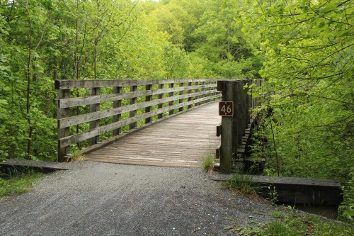 A wooden bridge surrounded by lush green trees, with a sign marked "46" at the entrance.