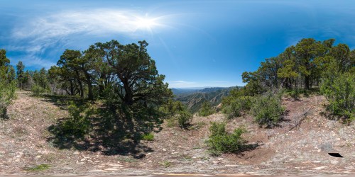A panoramic view of a lush landscape with trees and mountains under a bright blue sky.