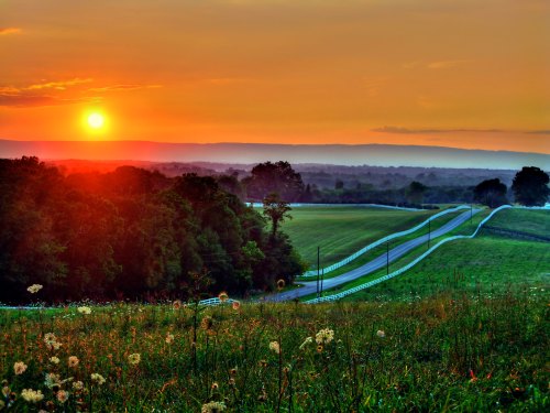 A vibrant sunset over rolling hills, with a winding road and wildflowers in the foreground.