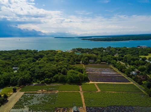 Aerial view of lush green fields and a serene blue lake under a partly cloudy sky.