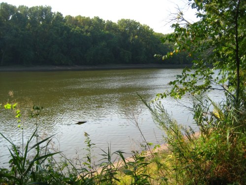 A serene river scene surrounded by lush greenery and trees, reflecting the calm water under a clear sky.