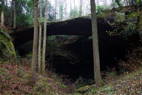 A natural stone arch surrounded by trees in a forest, with a dark cave entrance beneath it.