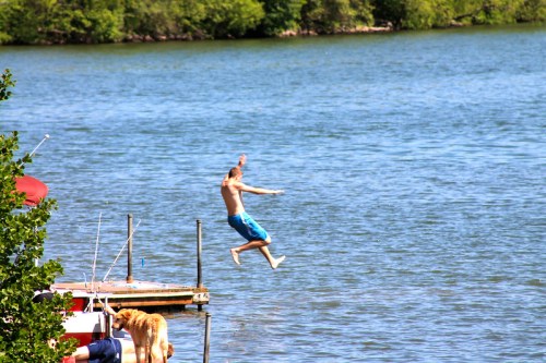 A person jumps off a dock into a lake, with a dog nearby on the shore. Lush greenery surrounds the water.