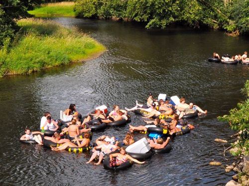 A group of people floating on inner tubes in a river, surrounded by greenery and enjoying a sunny day.