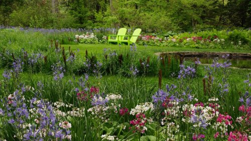 A vibrant garden filled with colorful flowers and two bright green chairs set against a lush, green backdrop.