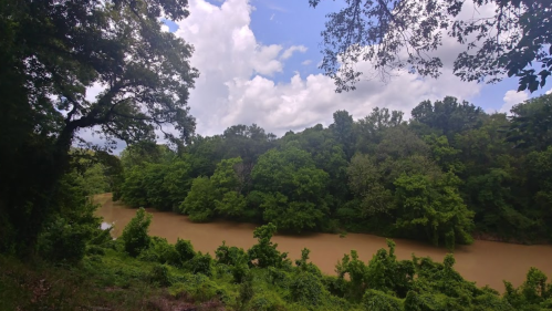 A serene river flows through lush green trees under a partly cloudy sky.