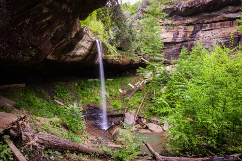 A serene waterfall cascades into a lush green forest, surrounded by rocky cliffs and fallen logs.