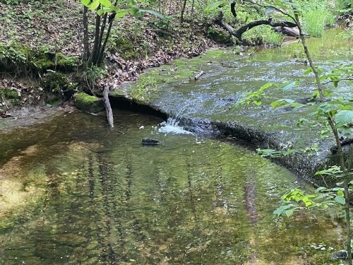 A serene stream flows over a rocky ledge, surrounded by lush greenery and reflections in the water.