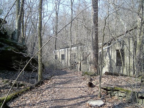 Abandoned concrete structures surrounded by bare trees and a leaf-covered path in a forested area.