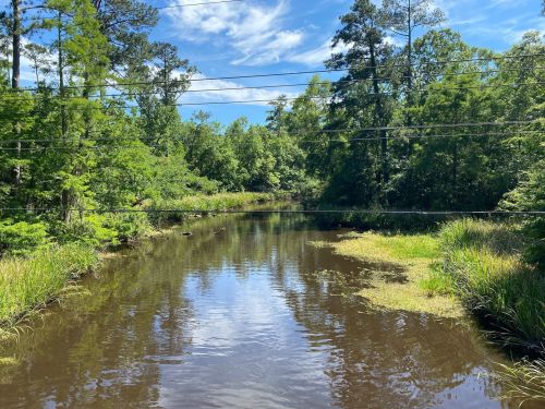 A serene river scene surrounded by lush greenery and trees under a clear blue sky with scattered clouds.